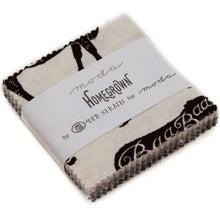 Homegrown Mini 2.5" Charm Pack by Deb Strain for Moda Fabrics