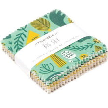 Big Sky Mini 2.5" Charm Pack by Annie Brady for Moda Fabrics