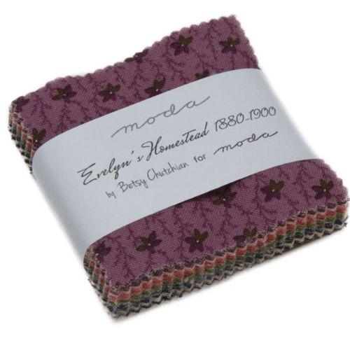 Evelyn's Homestead Mini 2.5